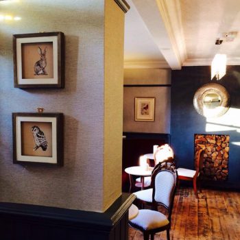 Designer Interiors